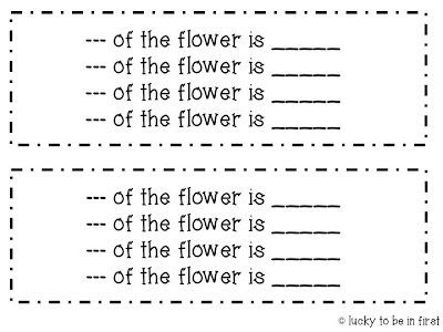 fraction worksheet about flower art | Lucky Learning with Molly Lynch