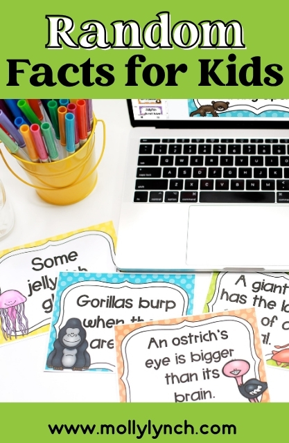 A desk with colorful markers, a laptop, and several fact cards for kids displaying fun animal facts—including gorillas, jellyfish, ostriches, and even some giant hats—makes learning new facts exciting.