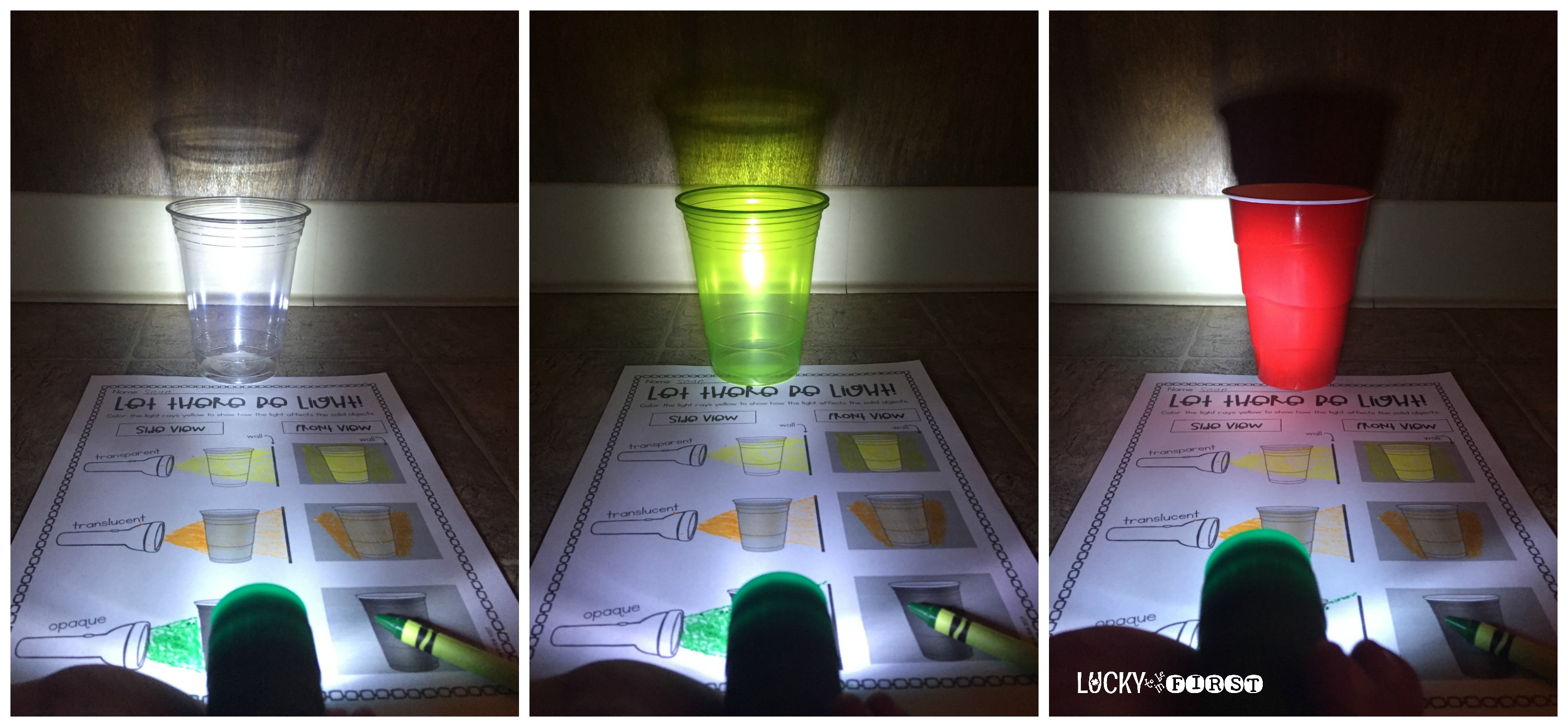 using 3 different types of cups as an activity to teach 1st graders how light passes through material | Lucky Learning with Molly Lynch 
