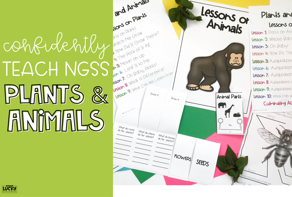 Teaching Plants & Animals with NGSS | Lucky Learning with Molly Lynch