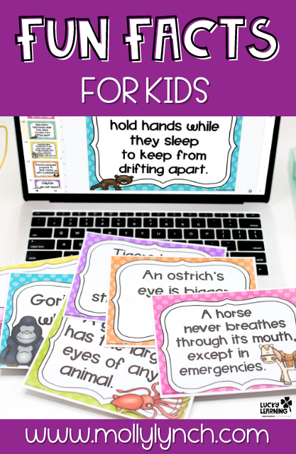 a few fun facts printed out to share with first grade students | Lucky Learning with Molly Lynch